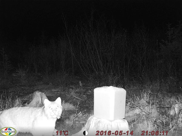 20170508041623_59139