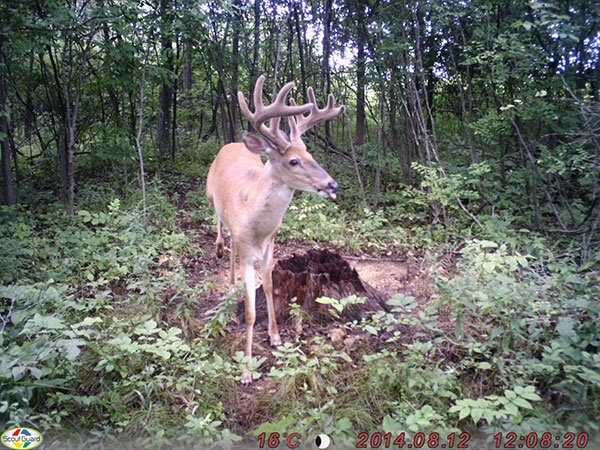 20170508041632_29599