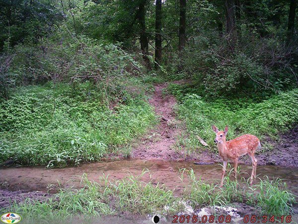 20170508041640_65263