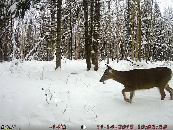 20190314104939_41757