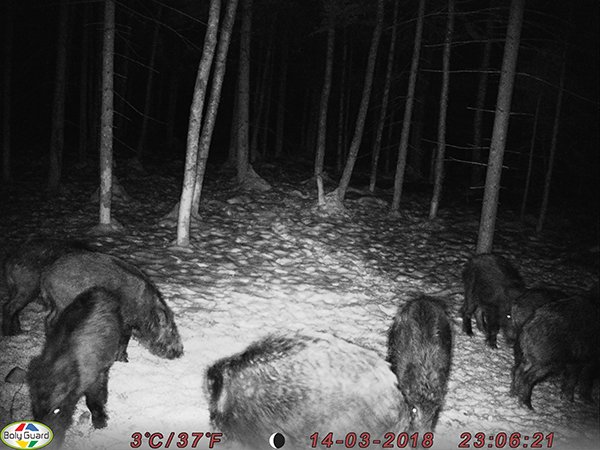 20190314105203_81789