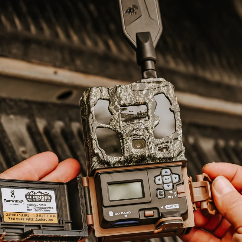 PSMHDWebPhotos_3_800x800