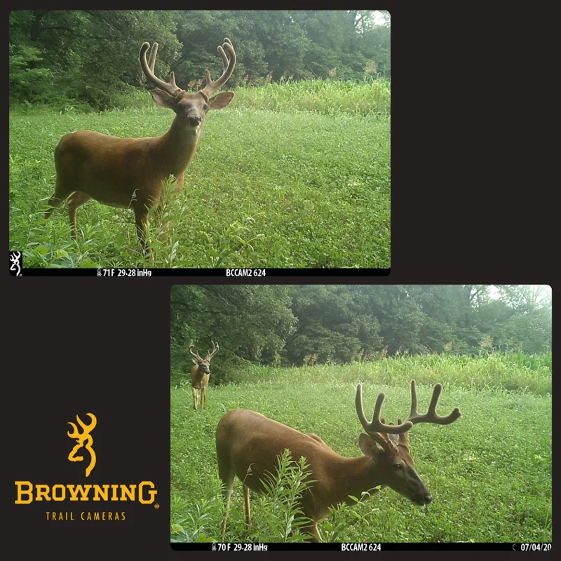 PSMHDWebPhotos_5_800x800